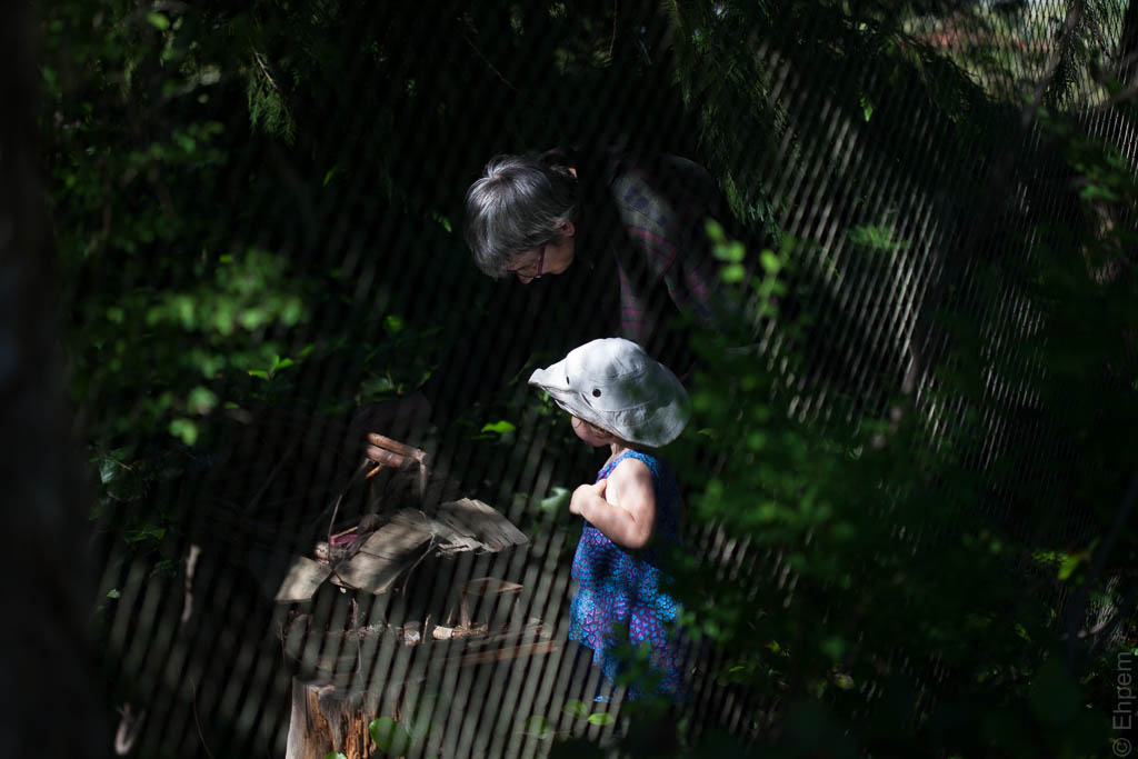 SundayInletPetroglyph_IMG_0829