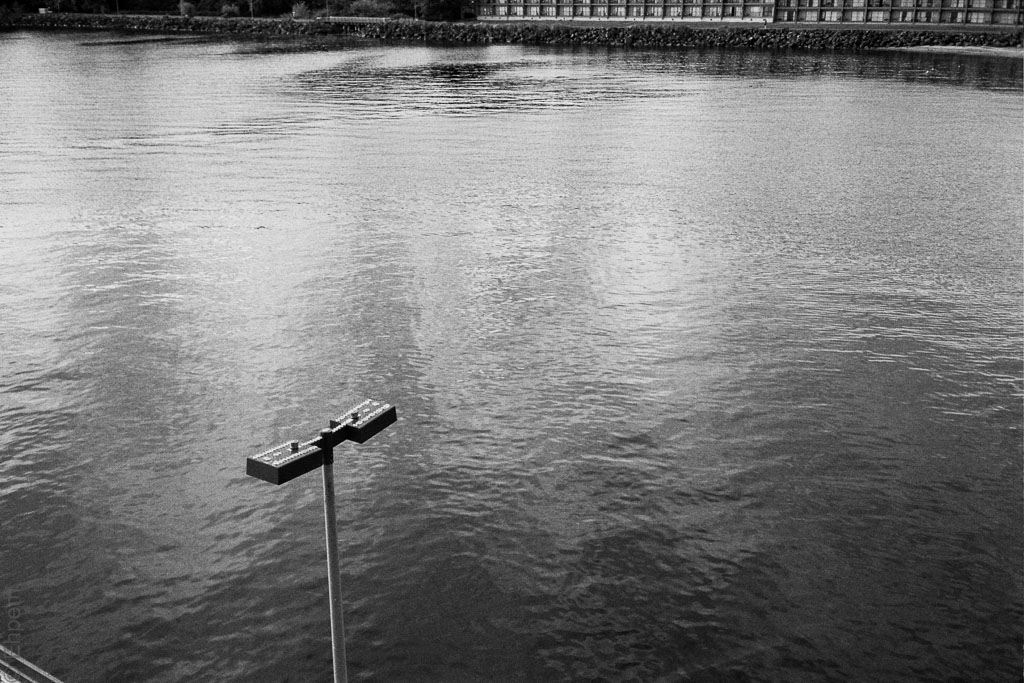 Birds forbidden - Port Angeles waterfront