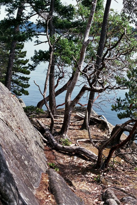 Featured Image -- 27496