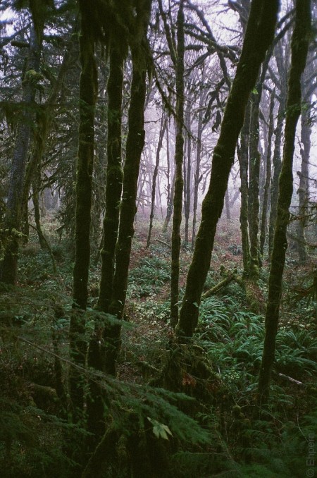 2015-OlyMJUii-011-3