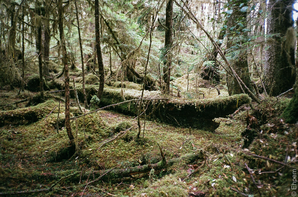 2015-OlyMJUii-013 (24)