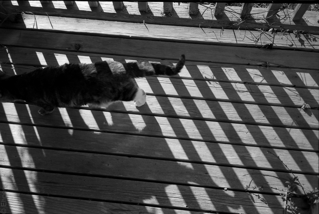 2015-OlyMJUII-001-015