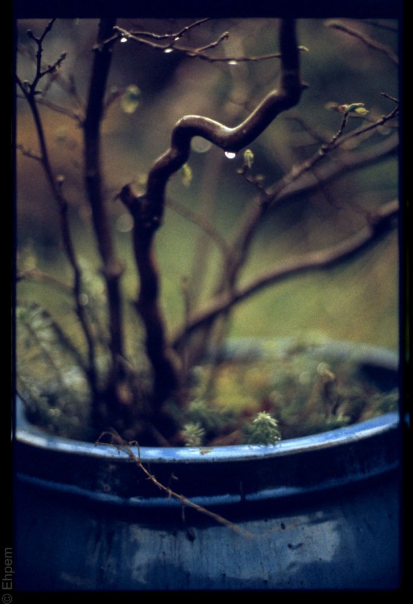 2016-ElanIIe-002-020