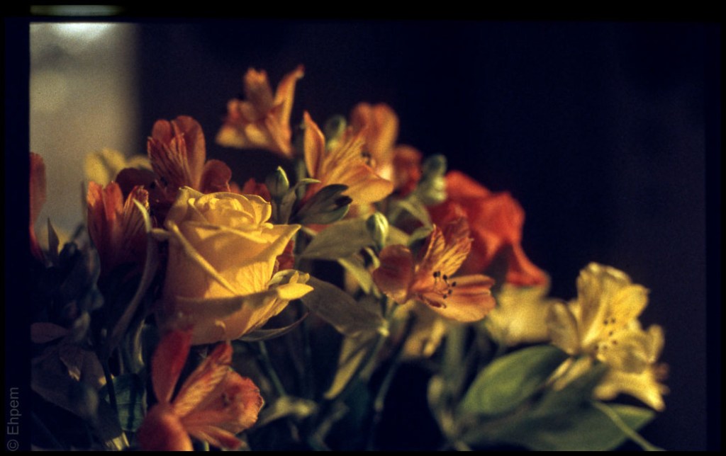 2016-ElanIIe-002-022