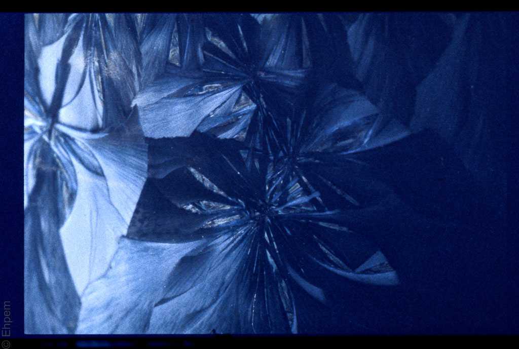 2016-ElanIIe-002-027