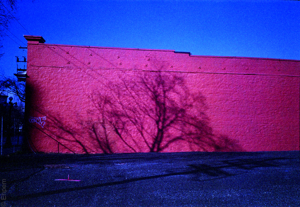 Featured Image -- 29072