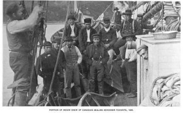 native sealing crew