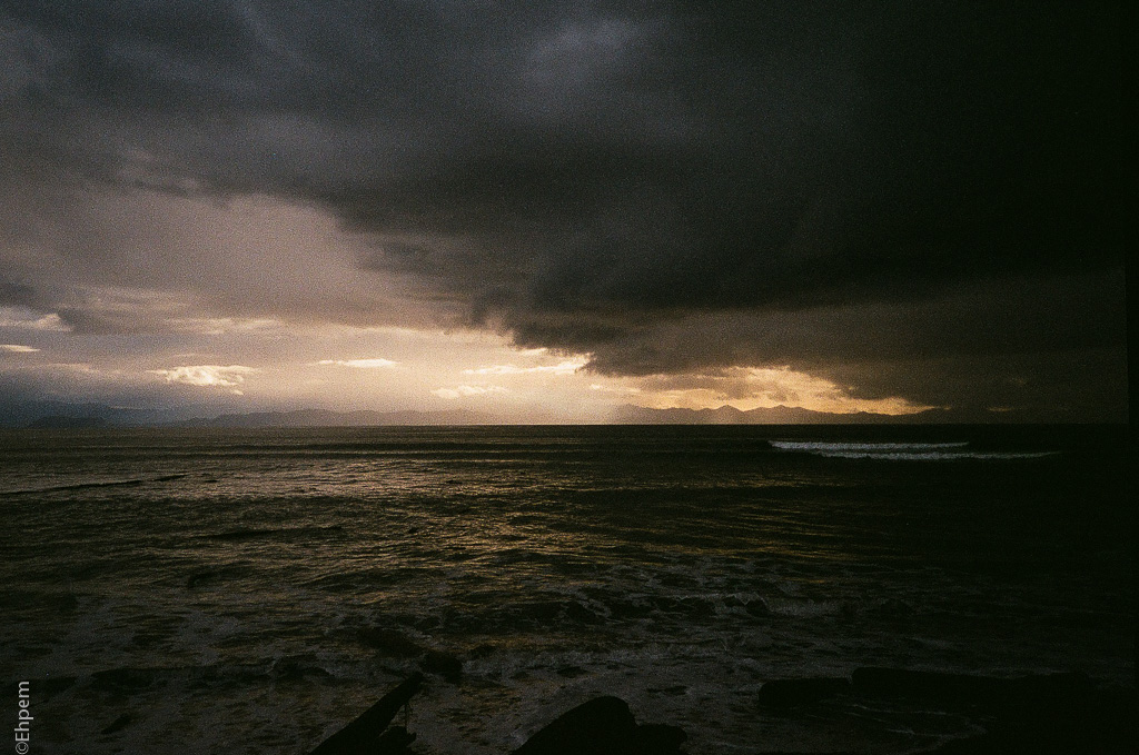 Featured Image -- 30776