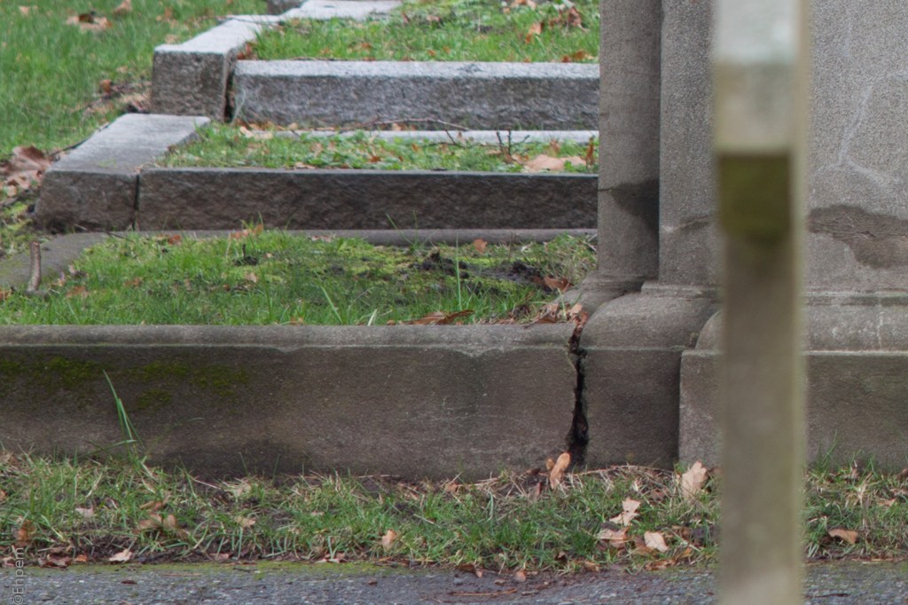 Asahi-Kogaku Tele-Takumar 135mm f3.5 @f5.6