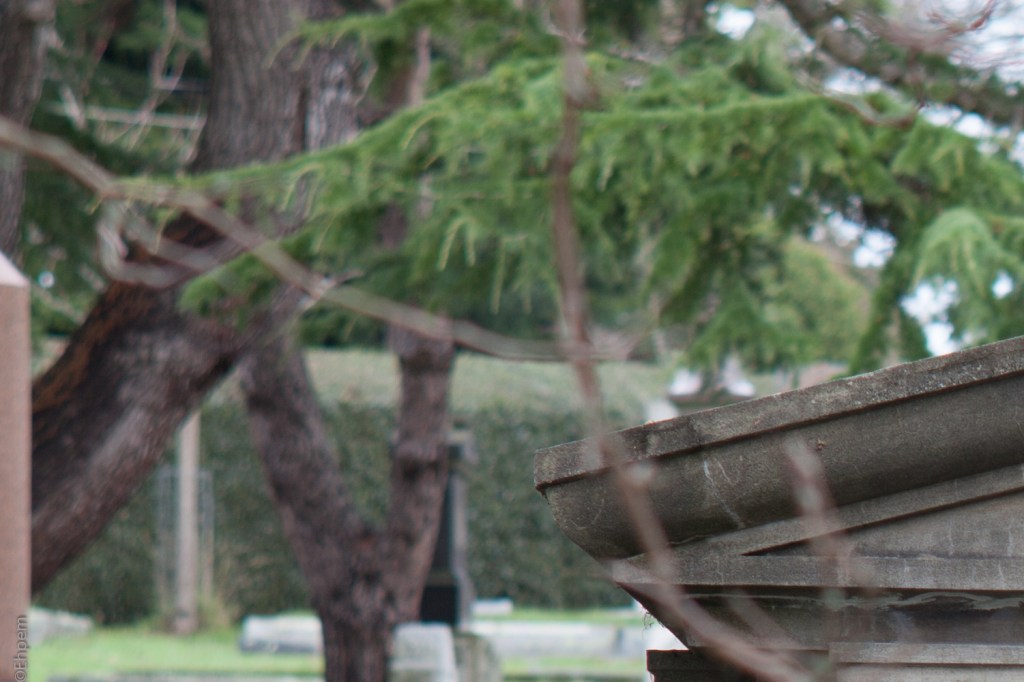 Asahi-Kogaku Tele-Takumar 135mm f3.5 @f5.6