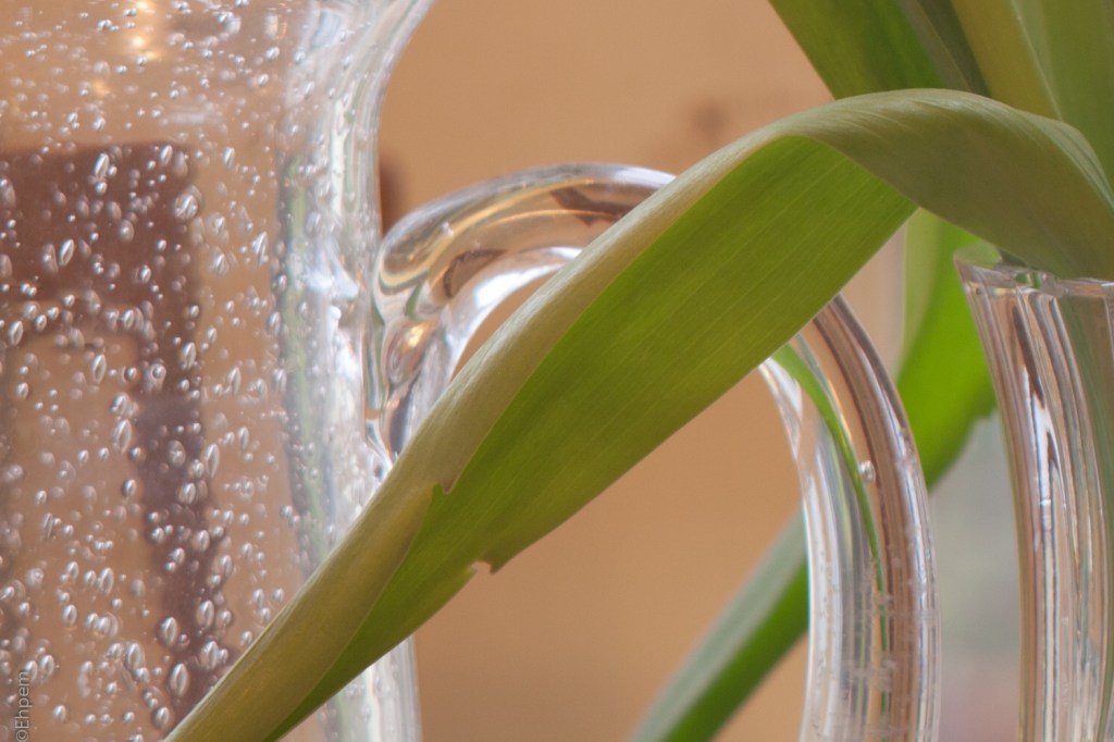 Asahi-Kogaku Tele-Takumar 135mm f/3.5 f/8