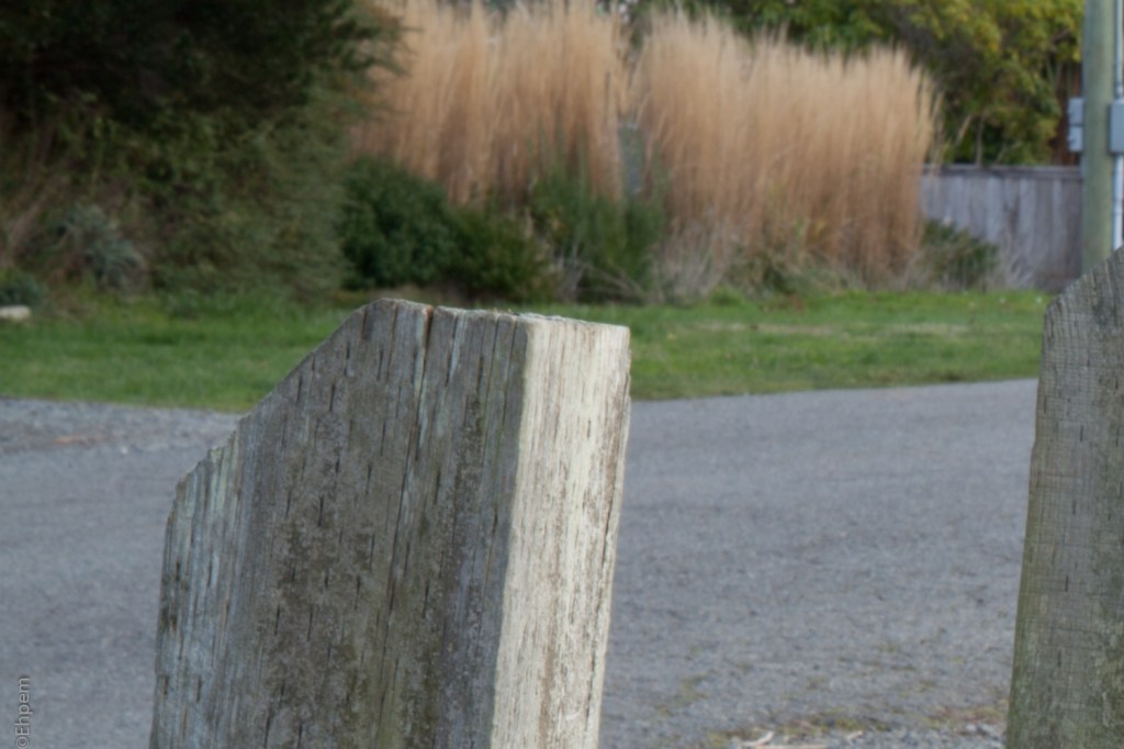 Asahi-Kogaku 58mm, F16