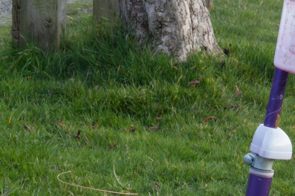 Asahi-Kogaku 58mm, F16