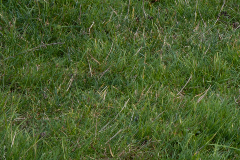 Asahi-Kogaku 58mm, F16