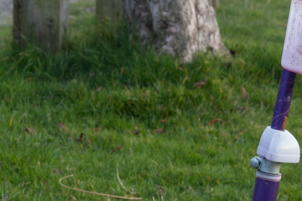 Asahi-Kogaku 58mm, F~5.6