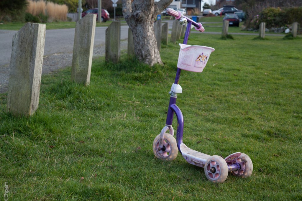 Asahi-Kogaku 58mm, F~5.6