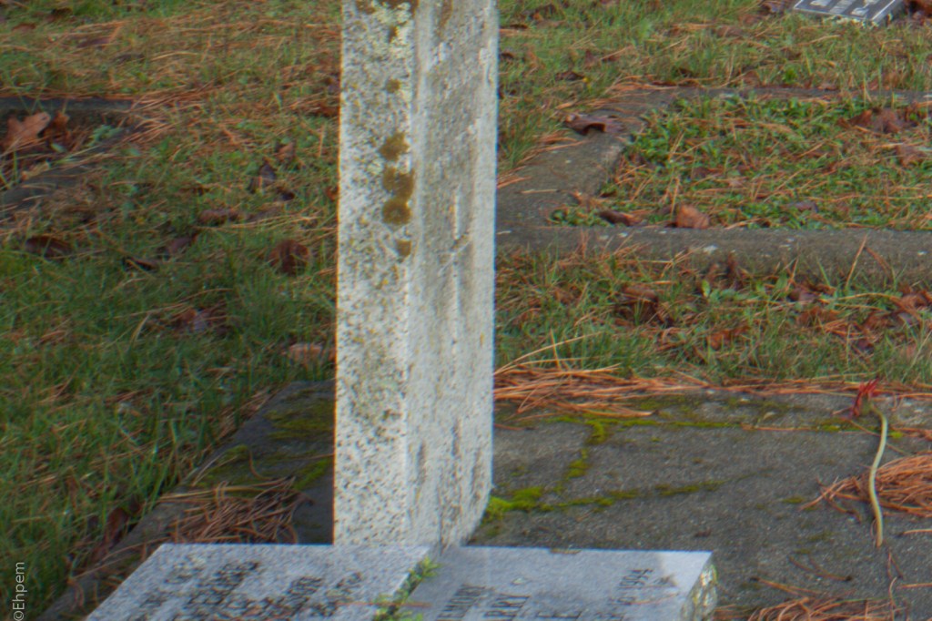 Fujitar 35mm f2.5 @f16