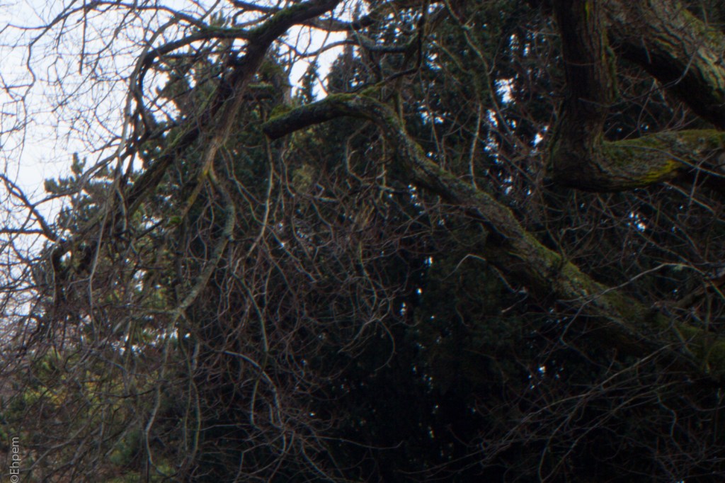 Fujitar 35mm f2.5 @f16