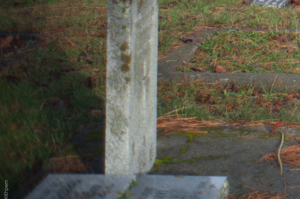 Fujitar 35mm f2.5 @f2.5