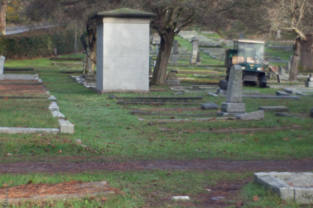 Fujitar 35mm f2.5 @f2.5