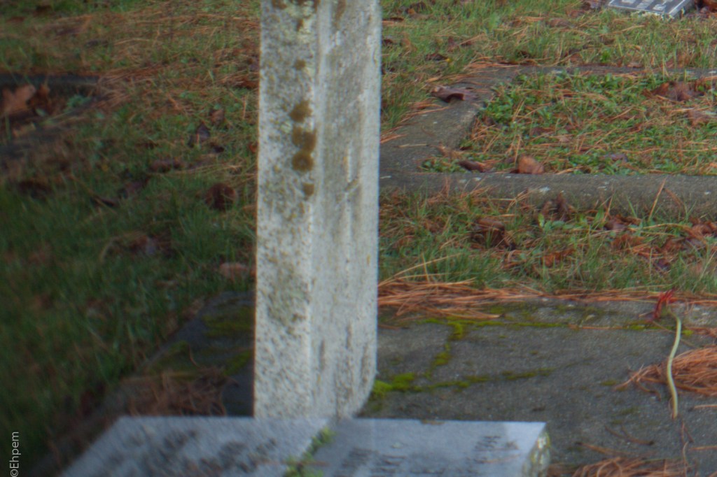 Fujitar 35mm f2.5 @f3.5