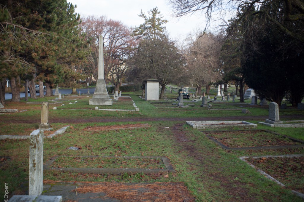 Fujitar 35mm f2.5 @f3.5