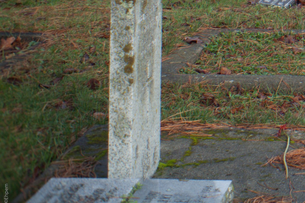 Fujitar 35mm f2.5 @f5.6