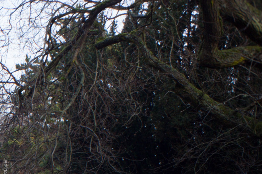 Fujitar 35mm f2.5 @f5.6