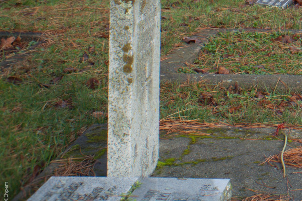 Fujitar 35mm f2.5 @f8