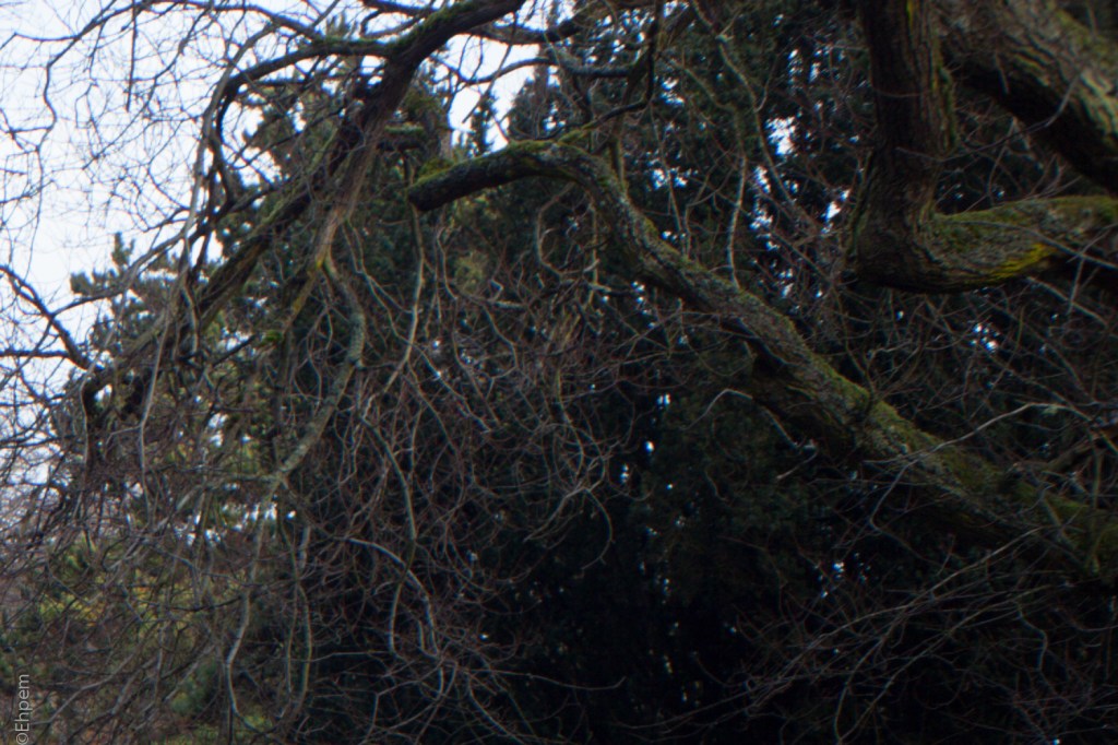 Fujitar 35mm f2.5 @f8