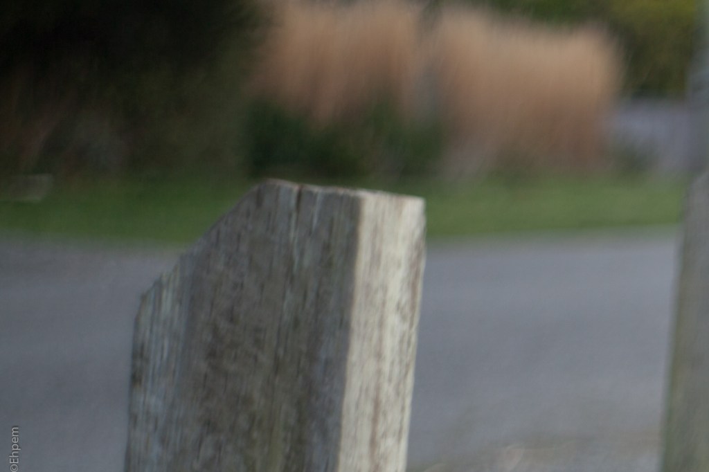 Helios-44-2 58mm, F~2.4