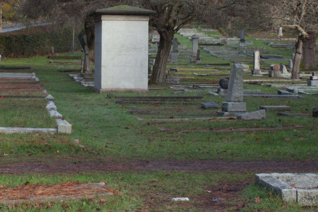 Nikon Series E 35mm f2.5 @f16