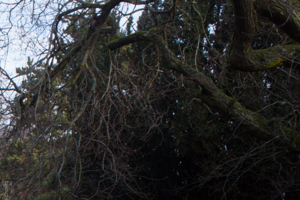 Nikon Series E 35mm f2.5 @f16