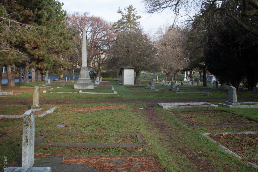 Nikon Series E 35mm f2.5 @f16