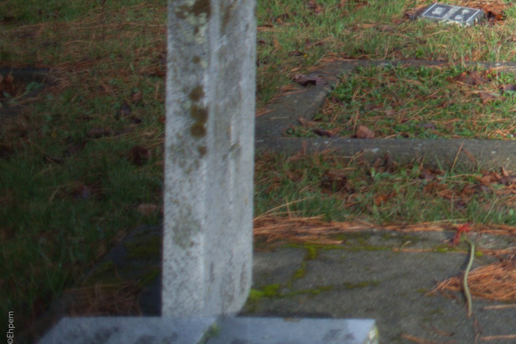 Nikon Series E 35mm f2.5 @f2.5