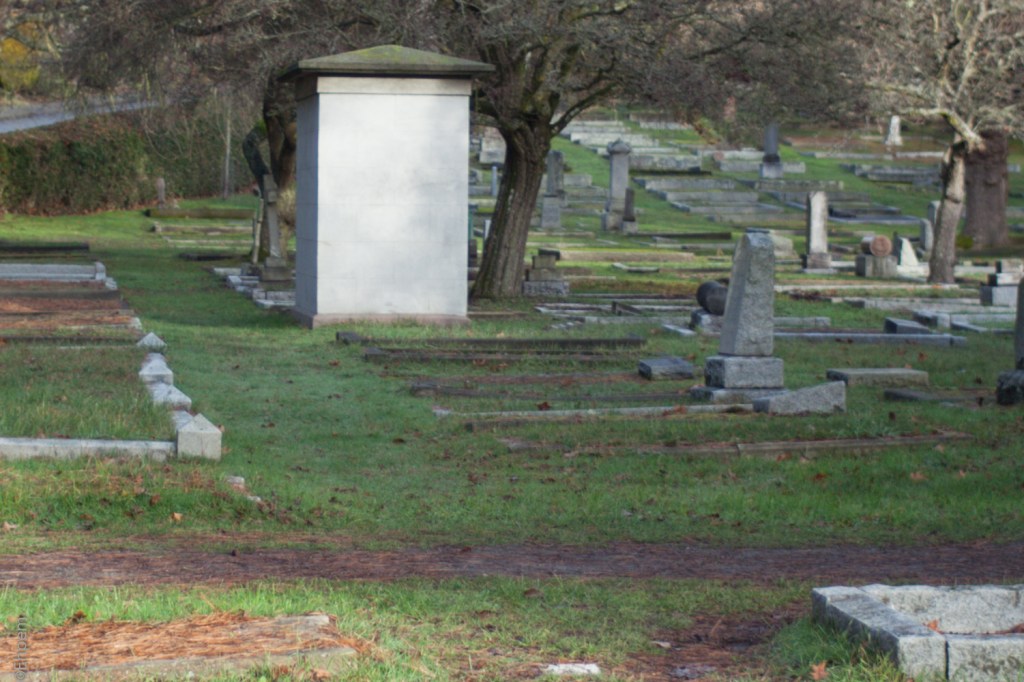 Nikon Series E 35mm f2.5 @f2.5