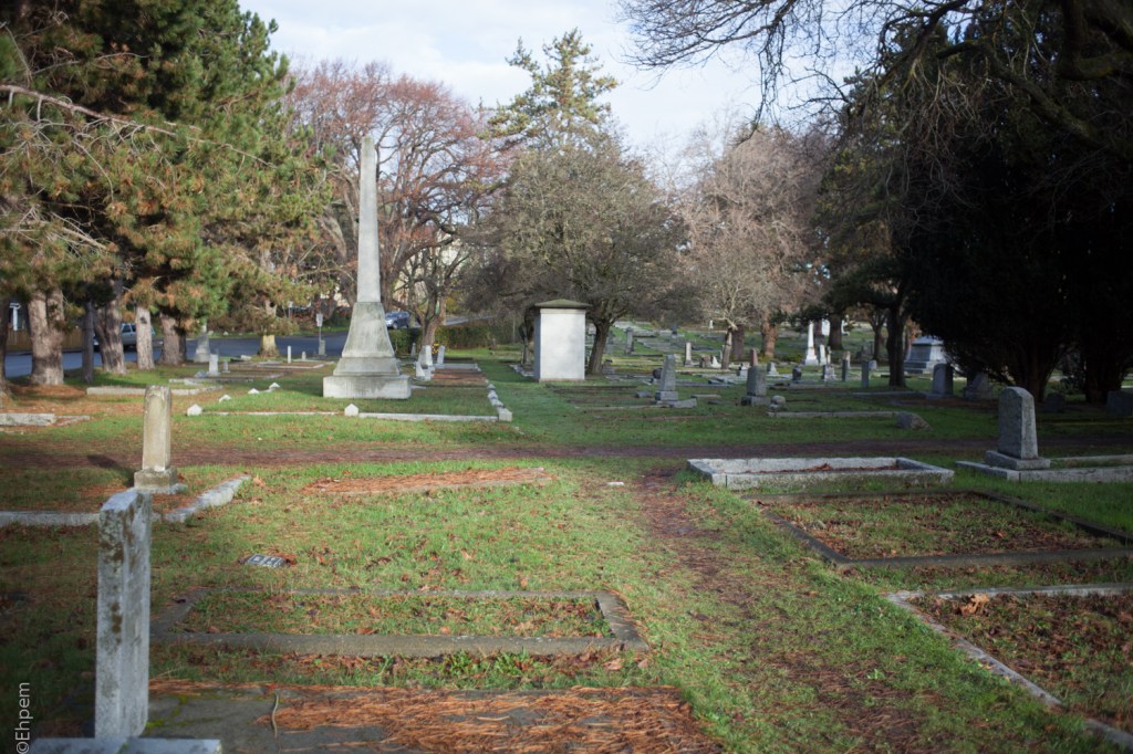 Nikon Series E 35mm f2.5 @f2.5