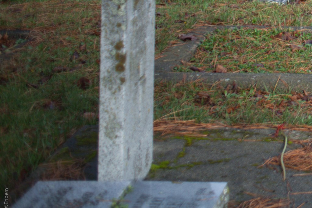 Nikon Series E 35mm f2.5 @f3.5