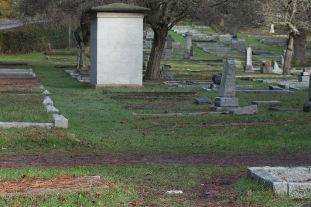 Nikon Series E 35mm f2.5 @f3.5