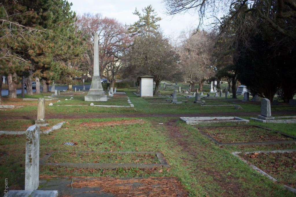 Nikon Series E 35mm f2.5 @f3.5