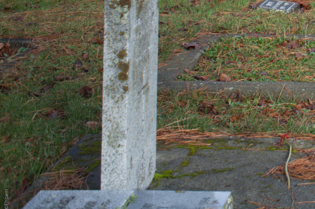 Nikon Series E 35mm f2.5 @f5.6