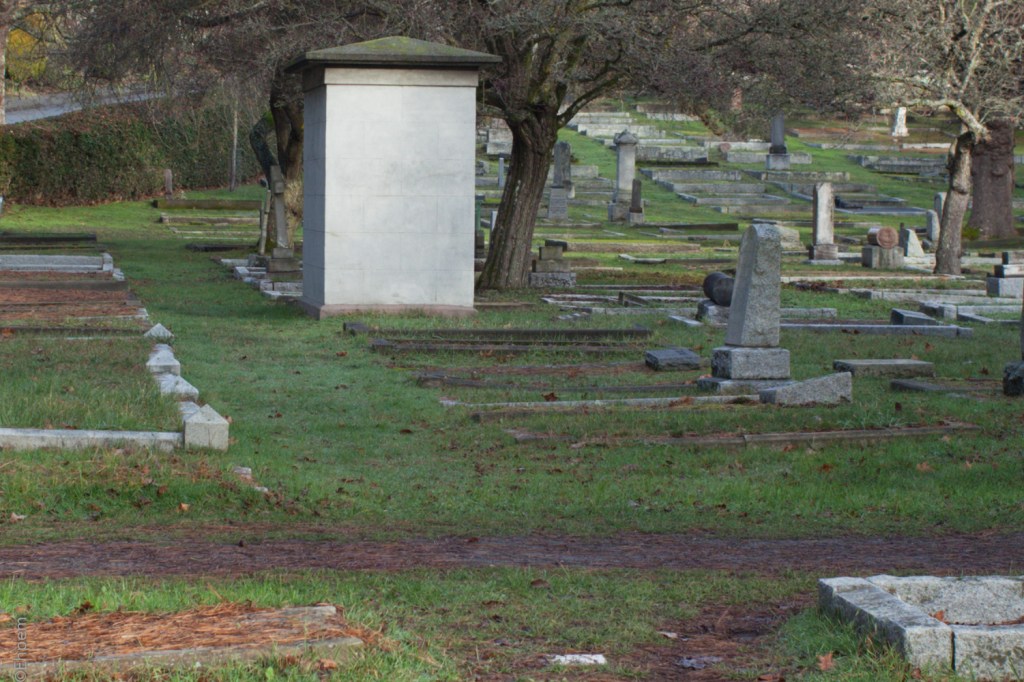 Nikon Series E 35mm f2.5 @f5.6