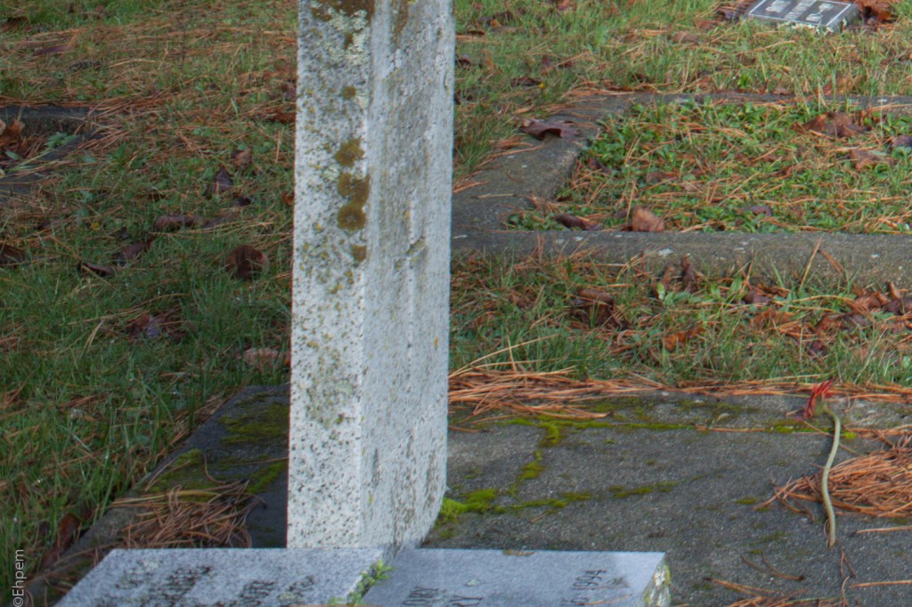 Nikon Series E 35mm f2.5 @f8