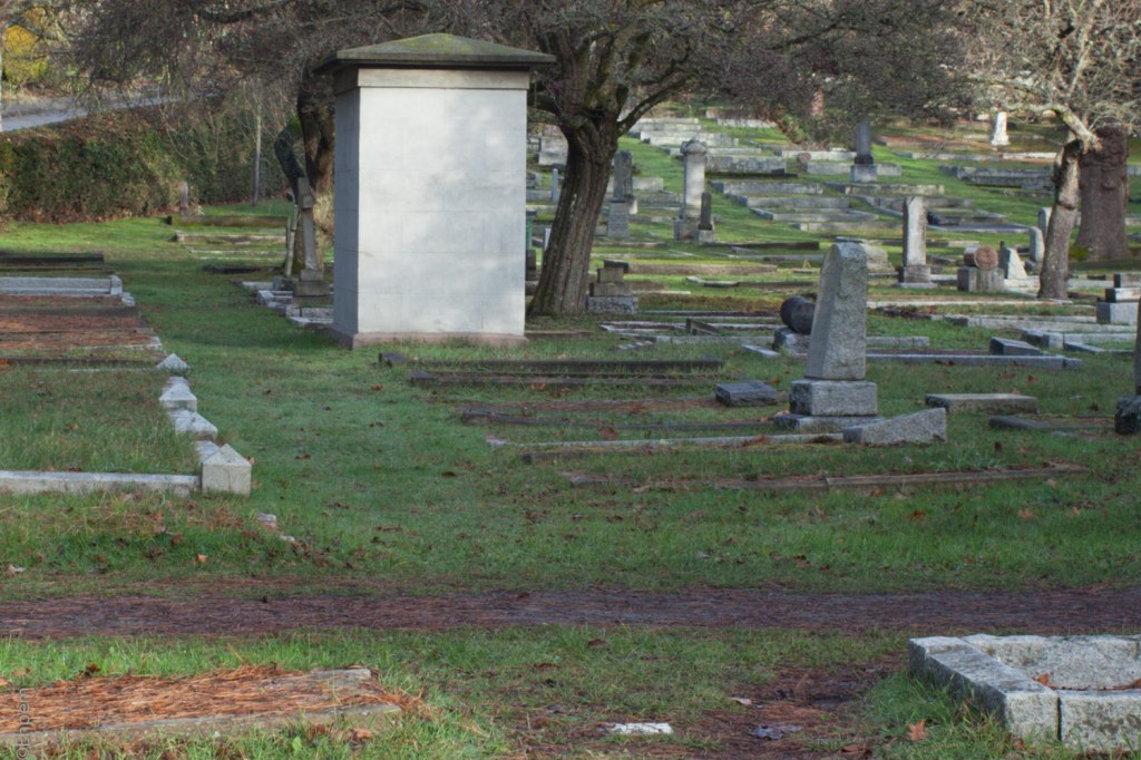 Nikon Series E 35mm f2.5 @f8