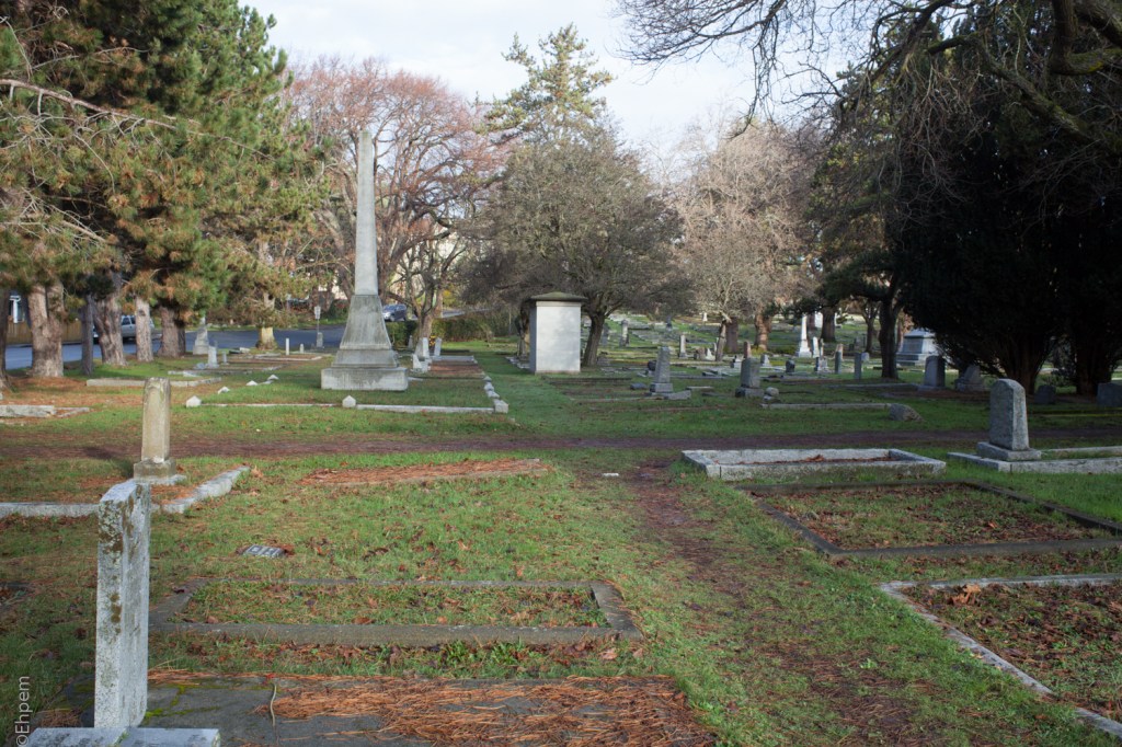 Nikon Series E 35mm f2.5 @f8