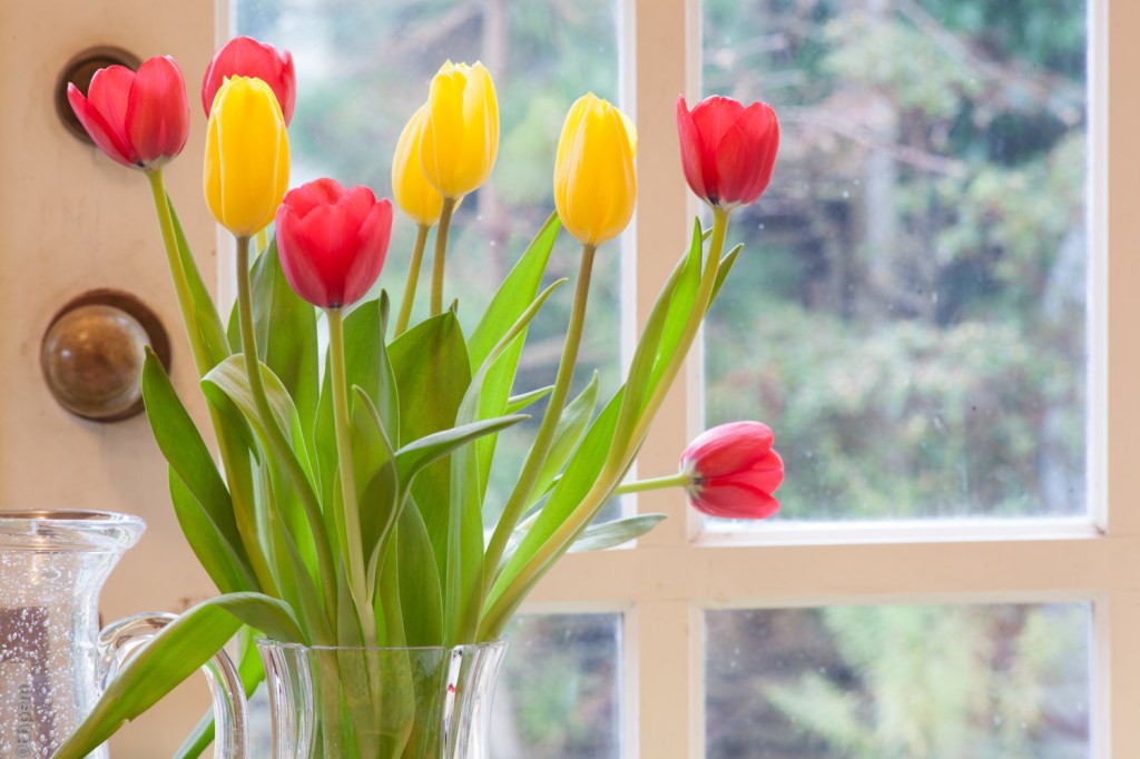 Opticam Auto 135mm f2-8 f16