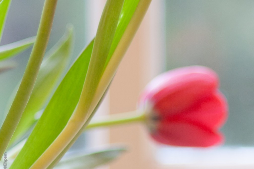 Opticam Auto 135mm f/2.8 f/3.5