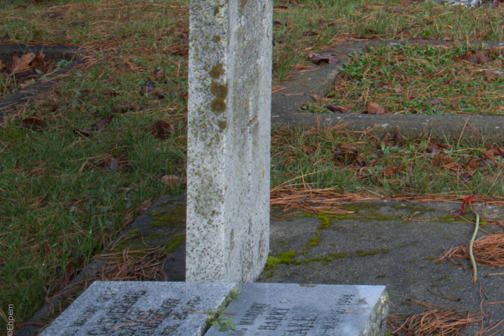 S-M-C Takumar 35mm f3.5 @f16