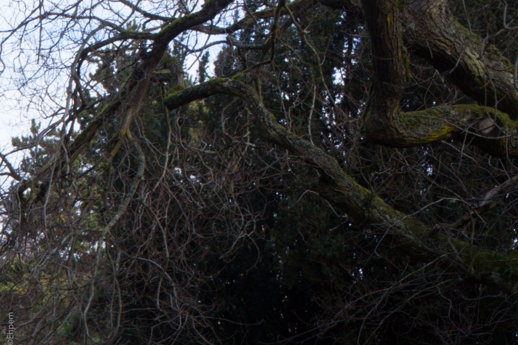 S-M-C Takumar 35mm f3.5 @f16