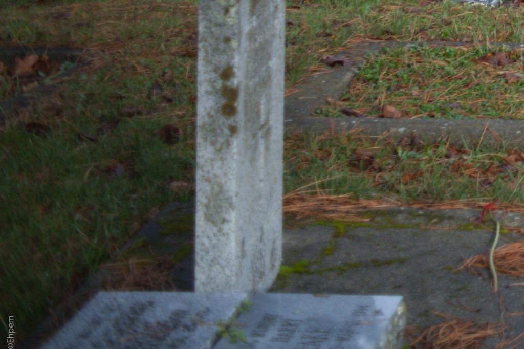 S-M-C Takumar 35mm f3.5 @f3.5